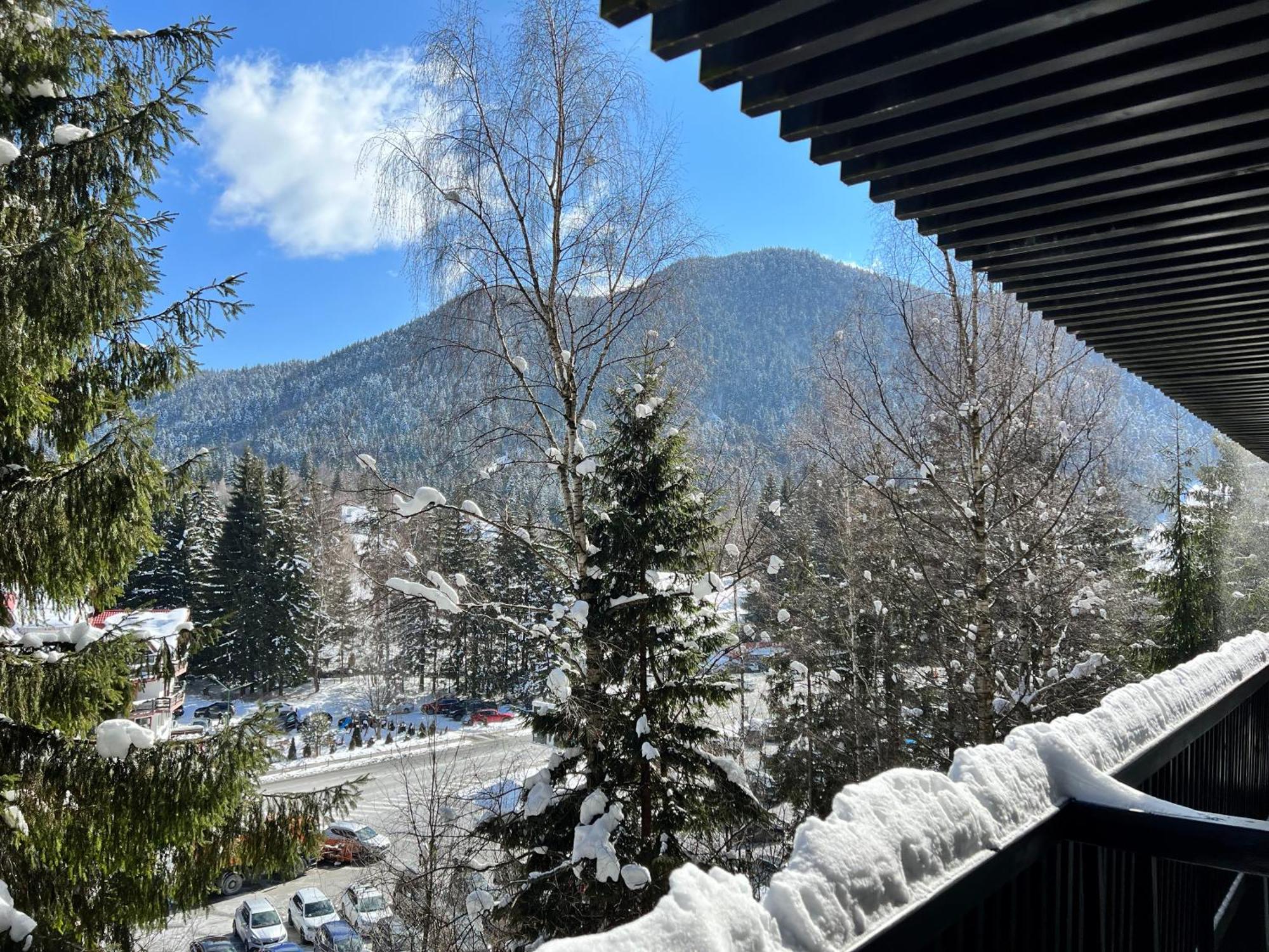 Apartment 2305 Hotel Alpin Poiana Braşov Dış mekan fotoğraf